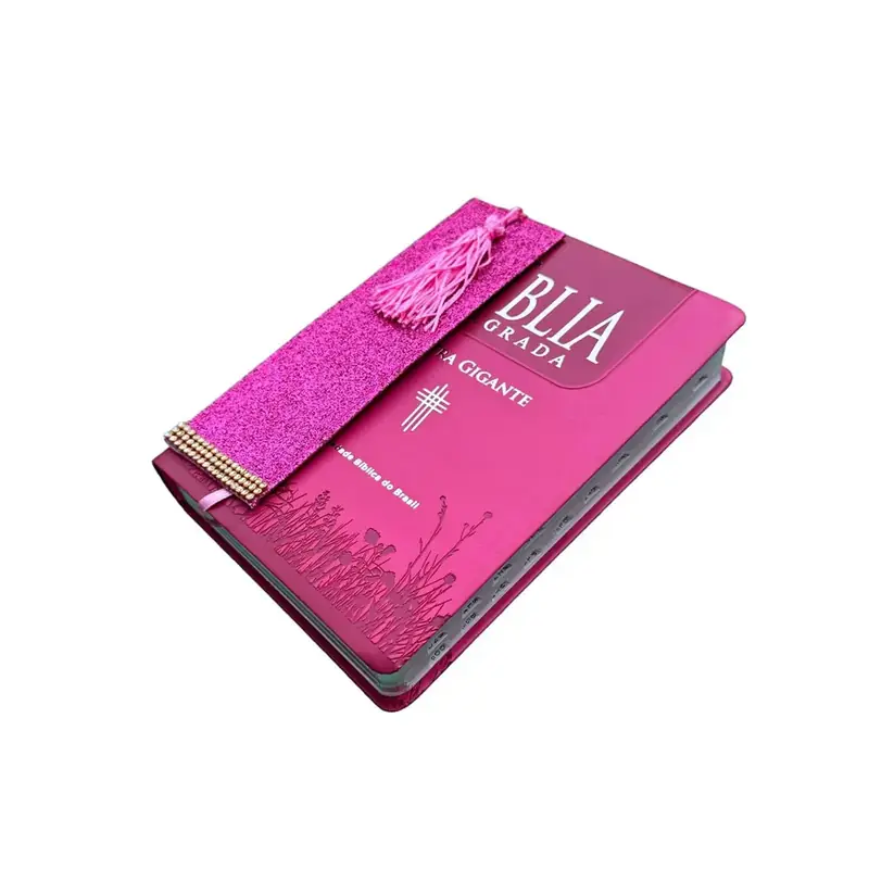 Foto do produto Bíblia Capa Luxo Ntlh Pink Letra Gigante Sbb